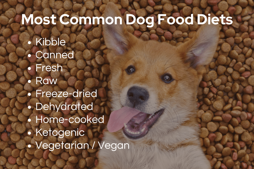 common-dog-food-diets