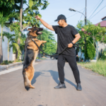 dog-training-methods