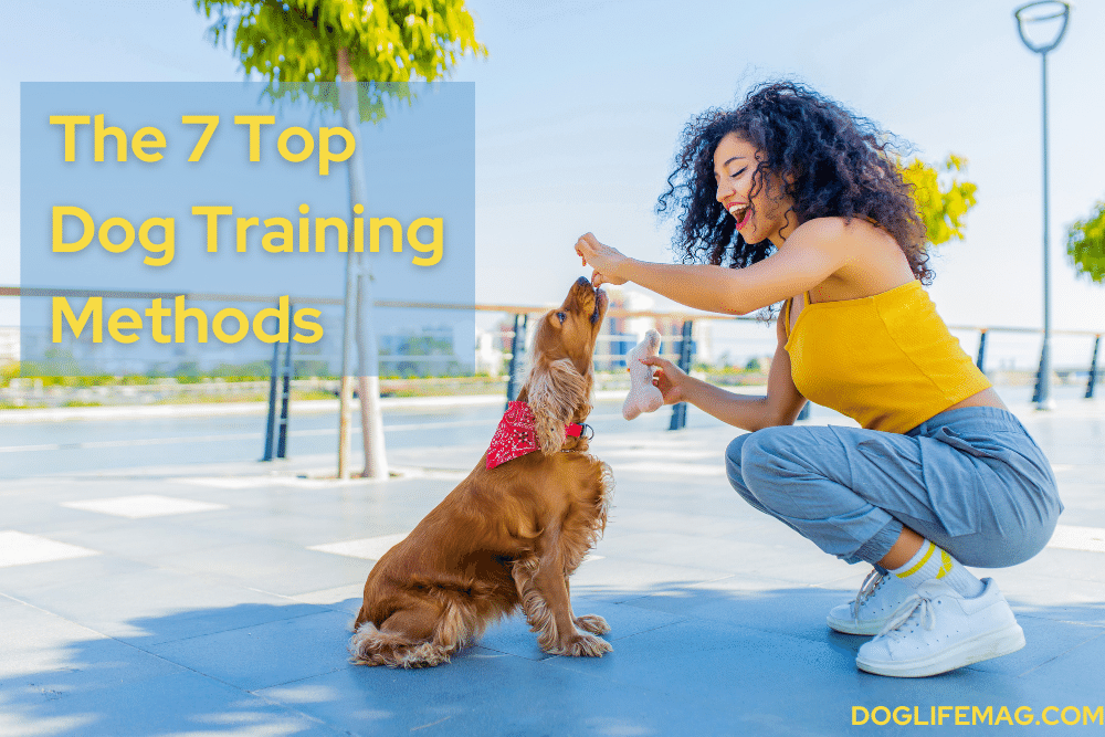 dog-training-methods