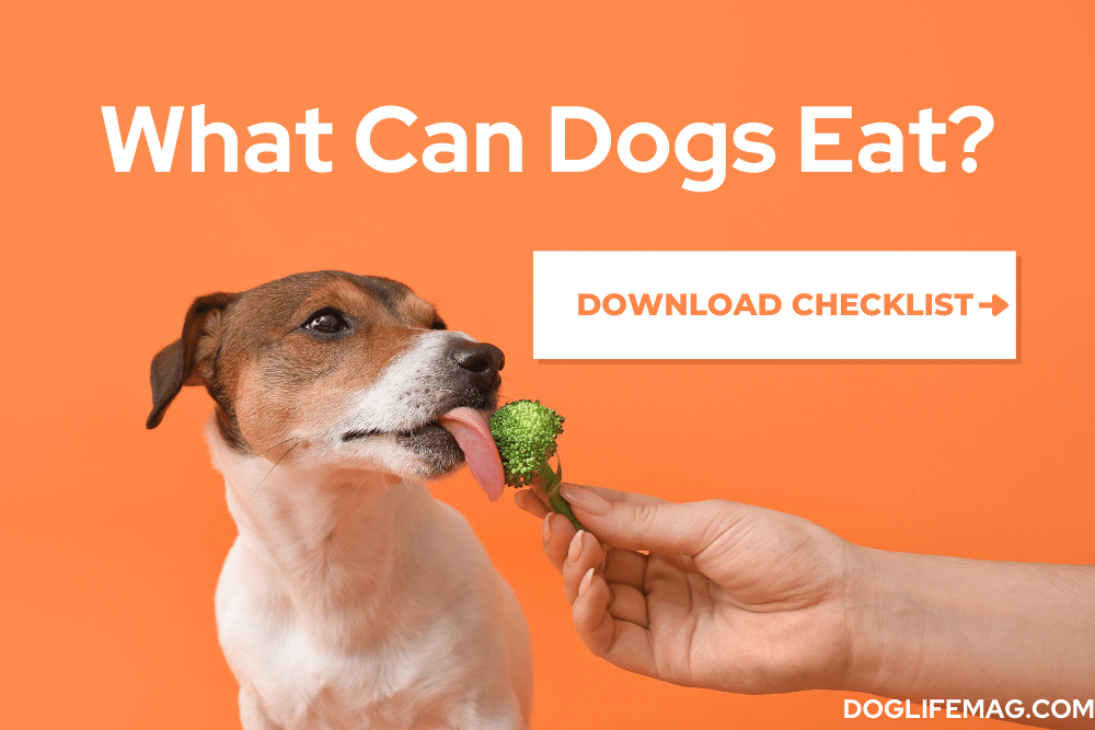 what-can-dogs-eat-checklist