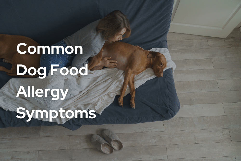 dog food allergy symptoms
