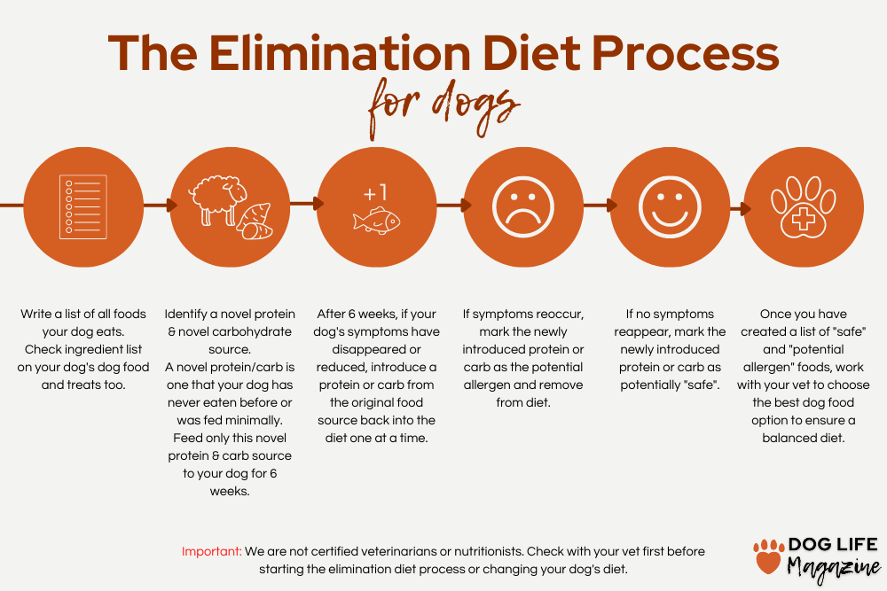 elimination diet for dogs