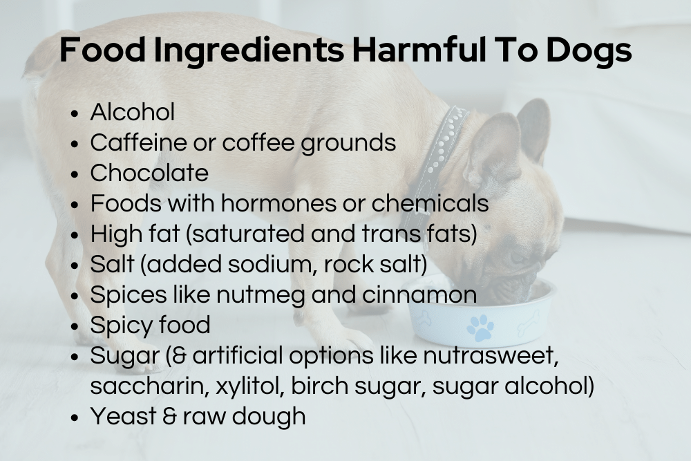 food ingredients toxic to dogs