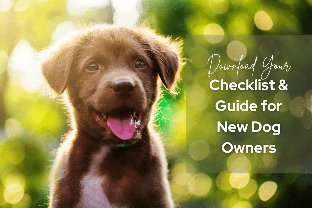 what to get for a new puppy guide