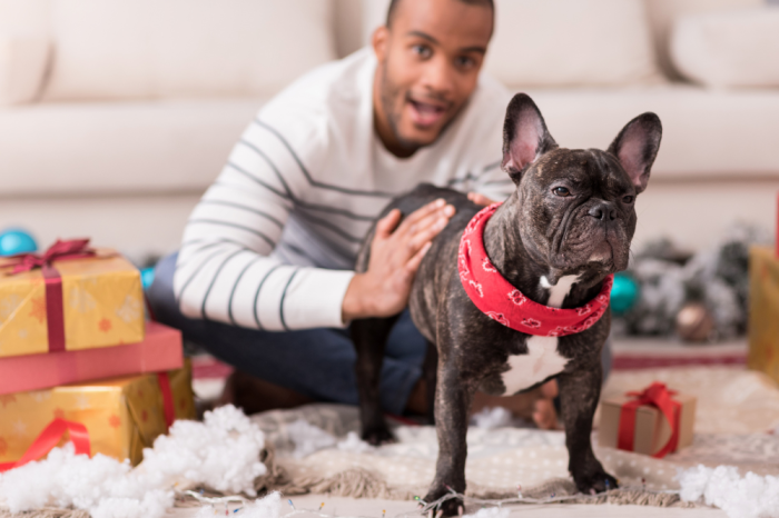 best dog gifts for dog owners