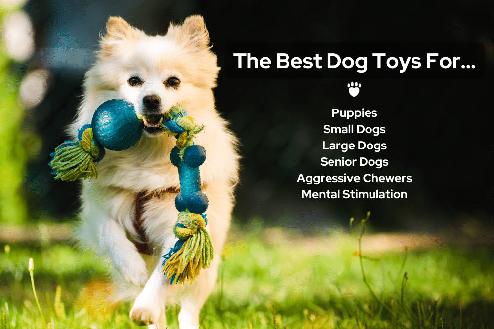 best toys for dogs