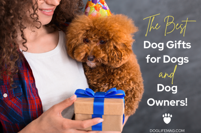 dog-gift-guide