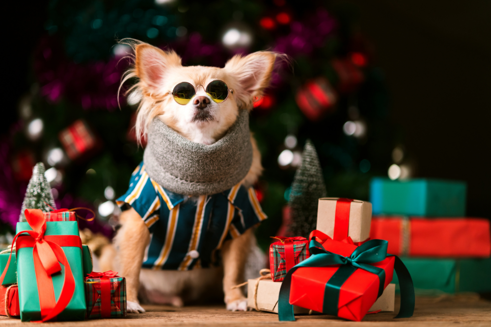 gifts for the dog owner guide
