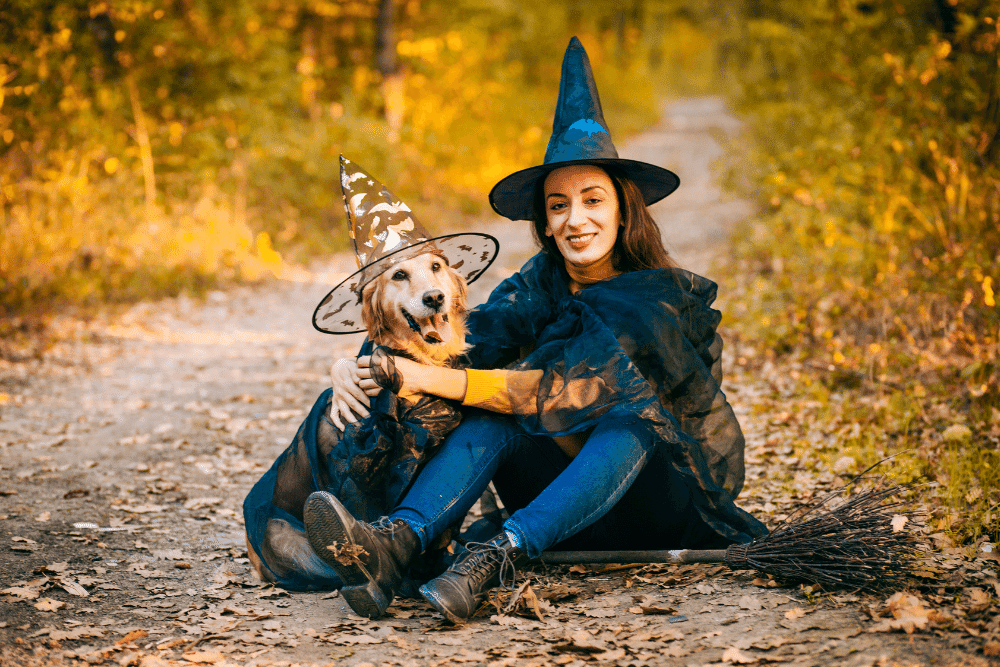 halloween costume ideas for dogs