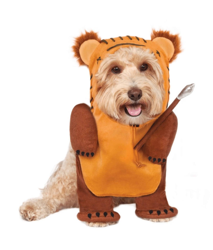 star wars ewok dog costume