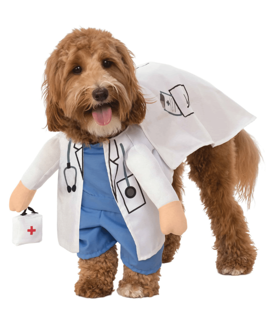 vet doctor walking dog costume