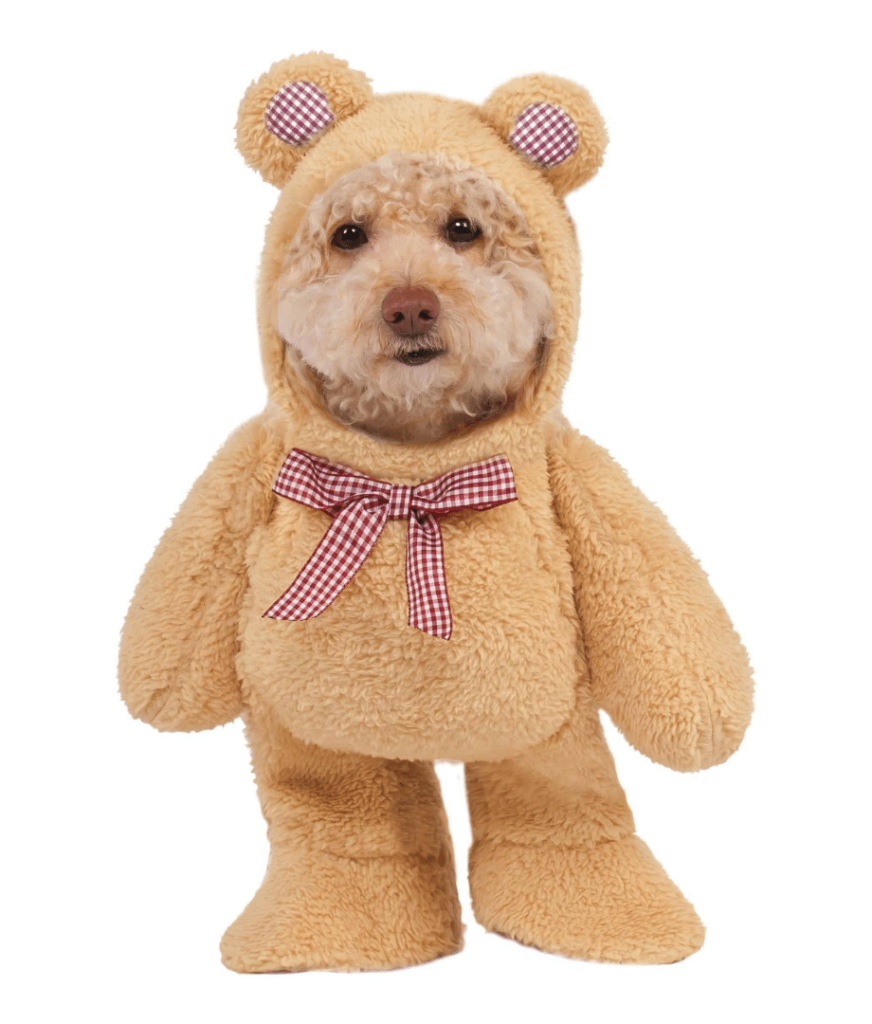 walking teddy bear dog costume