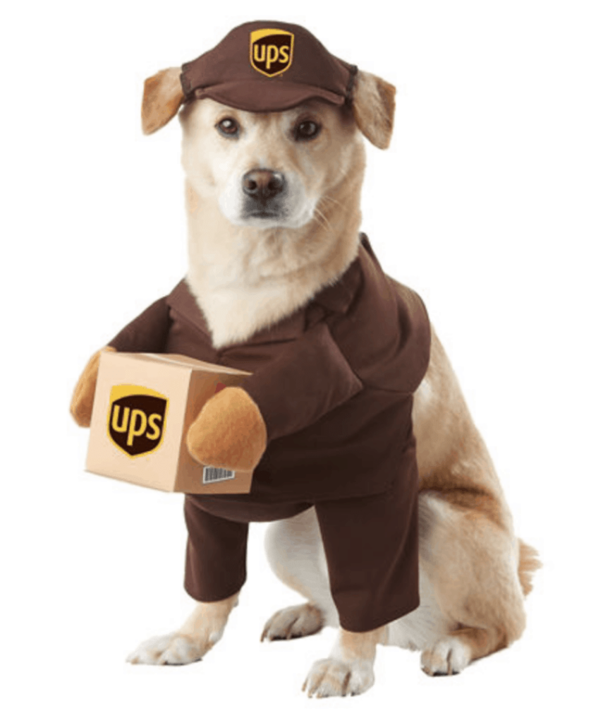 walking ups driver dog costume