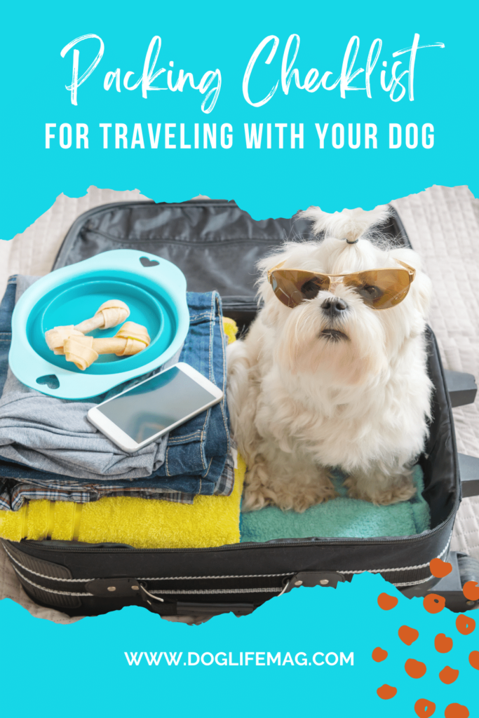 traveling with your dog checklist