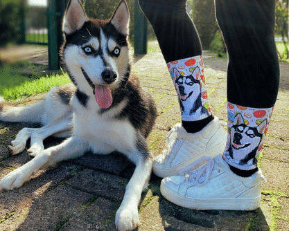 custom pet socks with dog