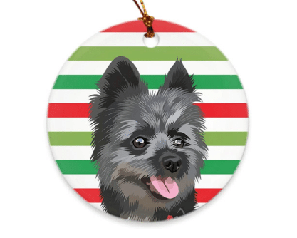 personalized pet ornament