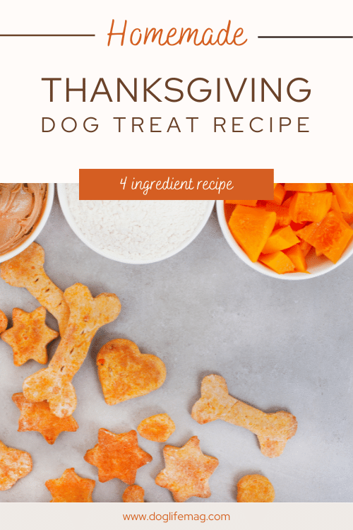 thanksgiving dog treat recipe