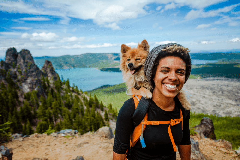 travel-with-dog-checklist