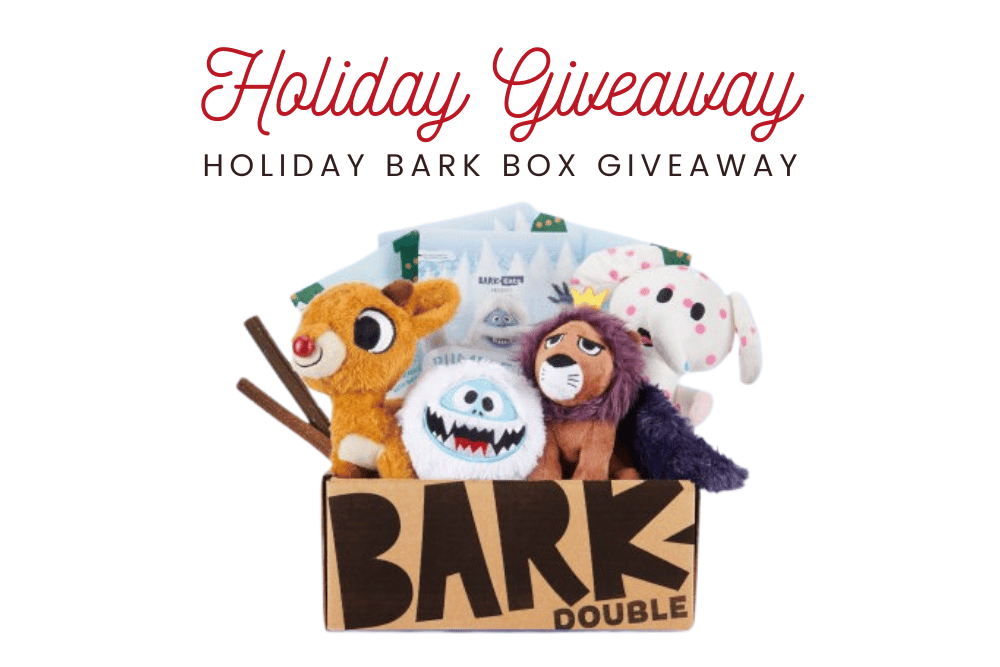 holiday giveaway bark box