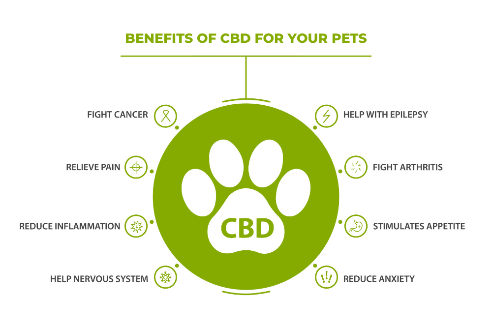 cbd for dogs benefits