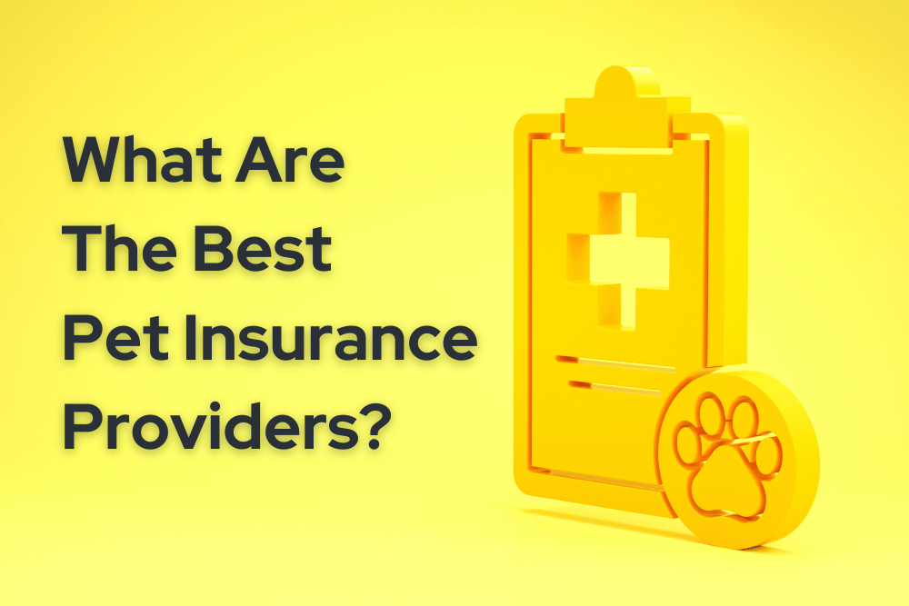 best-pet-insurance-providers