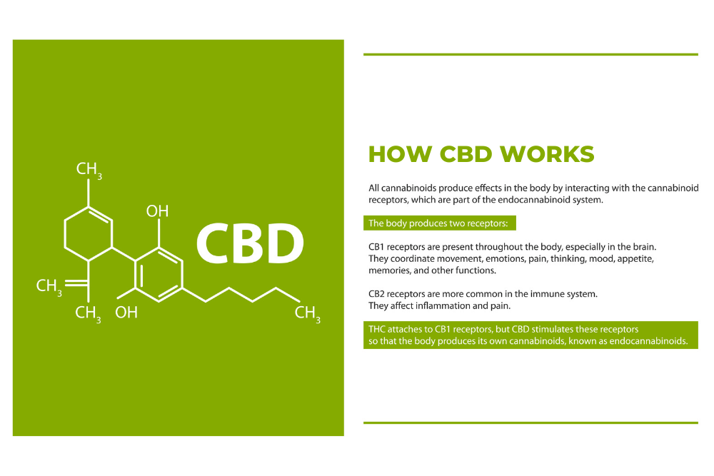 how does cbd for dogs work