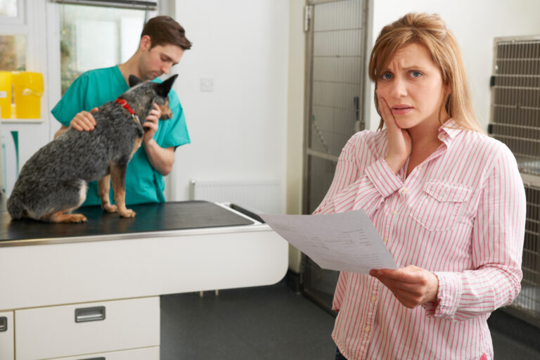 pet insurance for dogs
