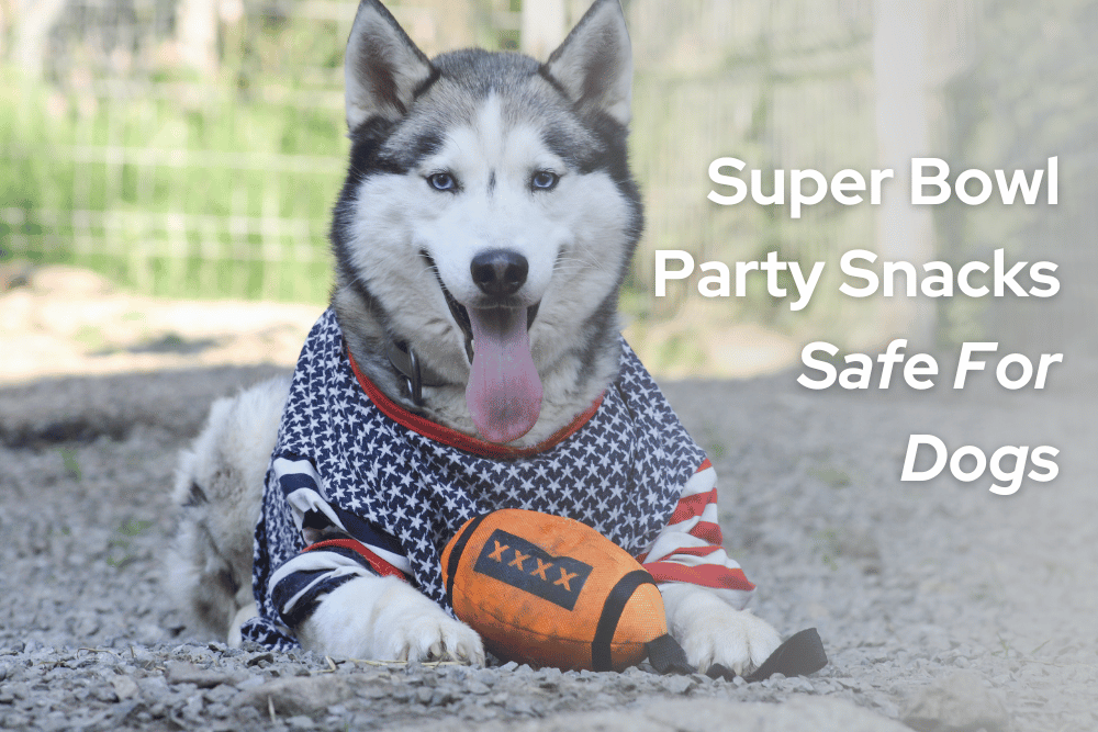 super bowl dog safe party snacks