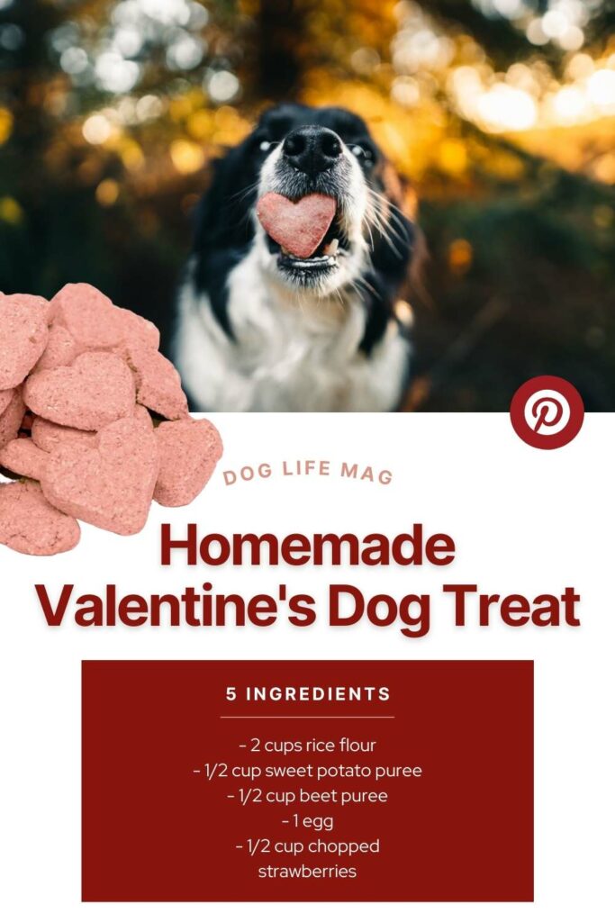 valentines day dog treat recipe