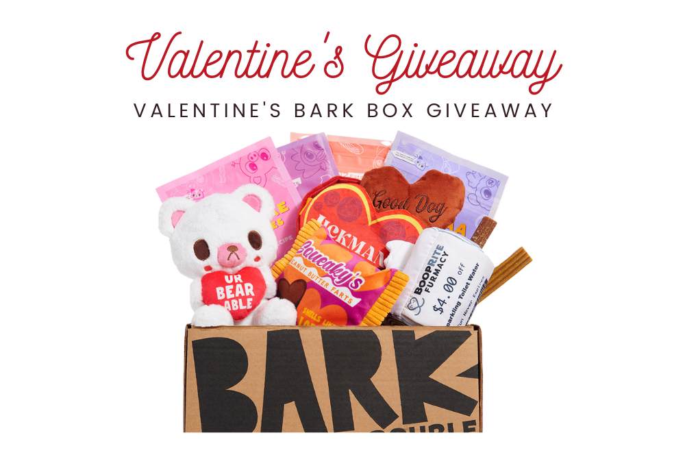 valentines giveaway winner feature