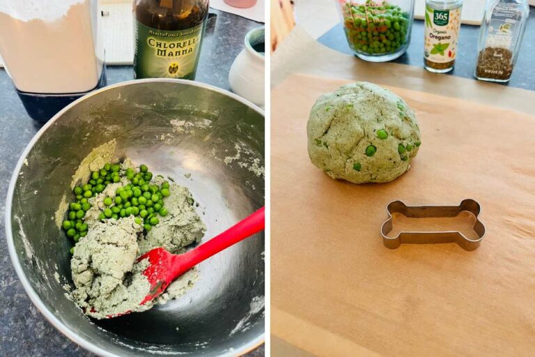Green St. Patrick’s Day Dog Treat Recipe for Your Pets