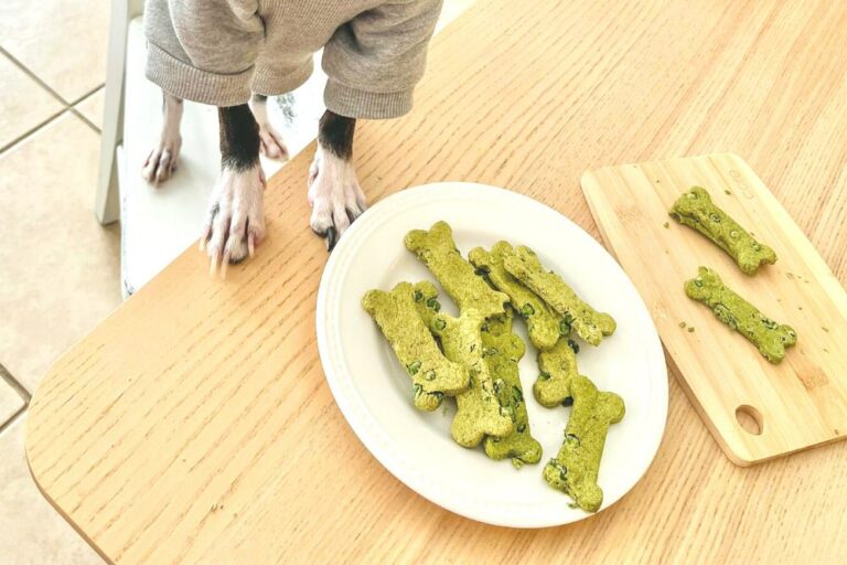 St. Patrick’s Day Dog Treat Recipe