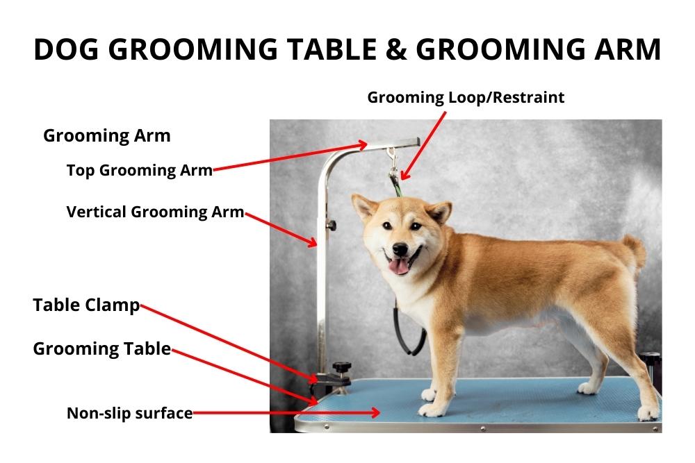 diy dog grooming station