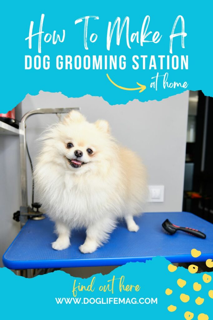 diy dog grooming station
