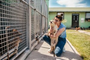 How Fostering A Dog Works – How To Prepare & What To Expect
