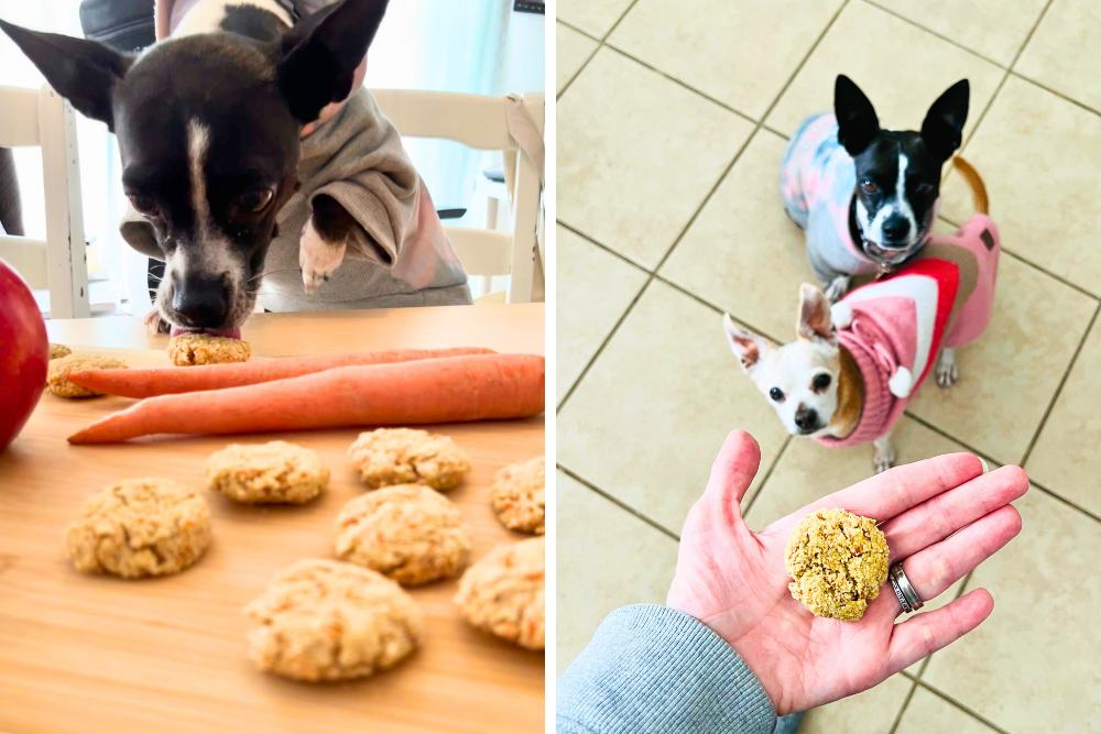 gluten free homemade dog treats