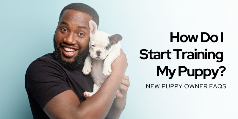 puppy owner faqs