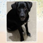 august giveaway winner