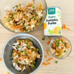pumpkin dog food recipe