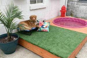 How To Make A Dog Patio For Outdoor Space: Dog Patio Ideas