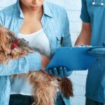 does dog insurance work