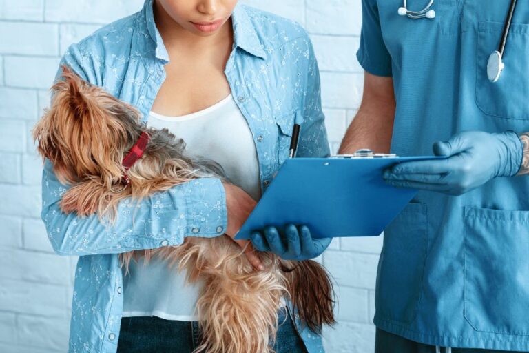How Does Dog Insurance Work? Is Insuring Your Pet Worth It?