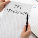 Pet Insurance
