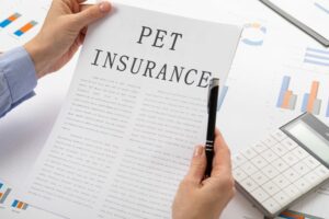 The Top 10 Best Pet Insurance Providers | Pet Insurance Reviews