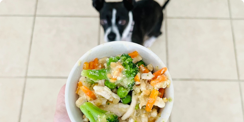 Vegetables add even more nutrition to this crockpot dog food recipe.